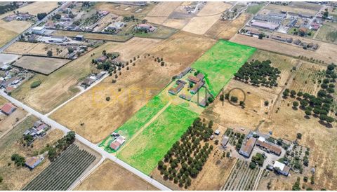 We present this property located in Lagameças, parish of Poceirão, in the municipality of Palmela. With a large plot of 19,280m² and a built area of 1,345m², this property stands out for its versatility, strategic location, and the fact that all buil...