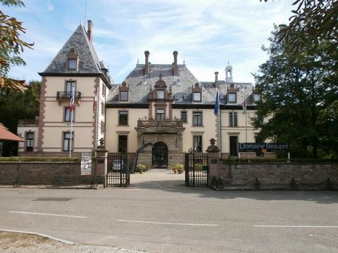 A Guebwiller, à deux pas du centre-ville, je vous propose en exclusivité les murs d'un hôtel, propriété emblématique de la place. Au coeur de l'Alsace, à la jonction des célèbres Route des Vins et Route des Crêtes, au pied des ballons des Vosges et d...