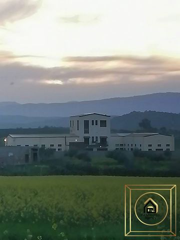 A FJ Morocco Agency coloca à venda esta magnífica fazenda de 3 hectares com um grande lago localizado em Nebeur, na Tunísia. um verdadeiro refúgio de paz a apenas 1h30 de carro (acesso à autoestrada) de Túnis. Este rancho tem duas moradias de cerca d...