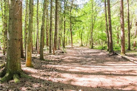 Holiday resort Duinhoeve offers a large variety of accommodations. There are several different types of chalets too. Choose between a standard 5-person chalet (NL-5071-02), a 5-person veranda chalet with two bedrooms (NL-5071-08), a 5-person veranda ...