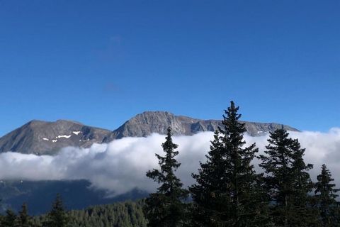 Questo accogliente e luminoso appartamento con una camera da letto è perfetto per un massimo di quattro ospiti, offrendo 45 m² di comodo spazio abitativo. Situato proprio ai piedi delle piste da sci, offre una vista mozzafiato sulle montagne e sulle ...