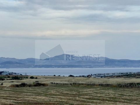 Investment Plot in Golden Beach, Paros Property Code: TP-0288 Price: €78,000,000 Area: 156,000 m² Location: Golden Beach, Paros Orientation: Southeast Access: Paved Road Zoning: Residential Out of Town Plan: Yes ️ Features & Potential Flat & Buildabl...